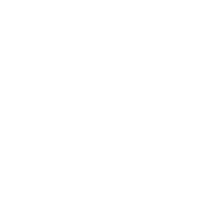 lexperience-professionnelle